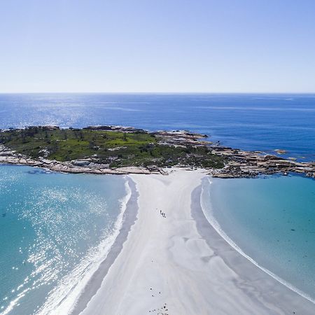 Diamond Island Resort, Restaurant & Bar And Penguin Show Bicheno Eksteriør billede